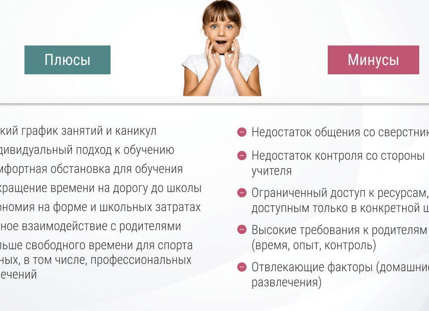 Домашнее обучение: плюсы и минусы.