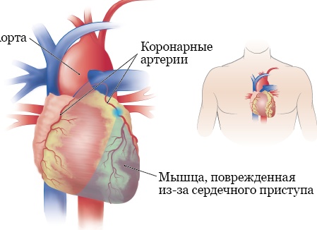 Электронное образование: каким оно бывает и где используется